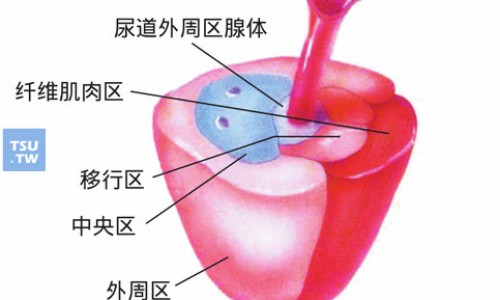心安胶囊吃完有副作用吗-心安片是什么药-心安胶囊的副作用,中国心安片副作用网站